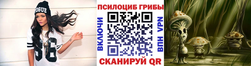 где продают наркотики  Короча  Псилоцибиновые грибы мицелий 