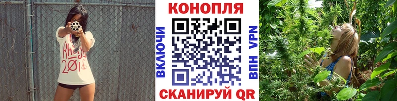 Марихуана индика  Короча 